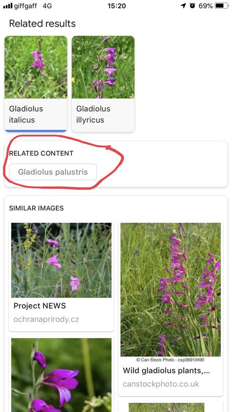 Google plant identification. Things To Know About Google plant identification. 
